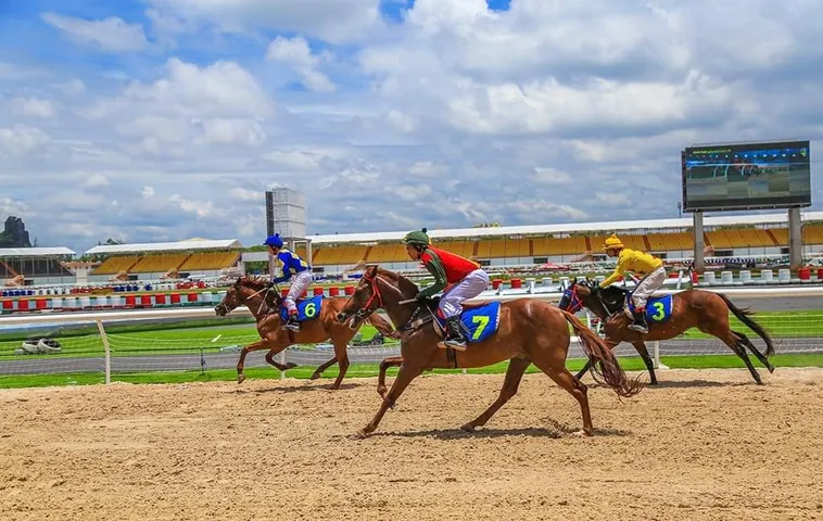 Kinh Nghiệm Tìm Hiểu Cá Cược Đua Ngựa V6Bet Chinh Phục Đường Đua