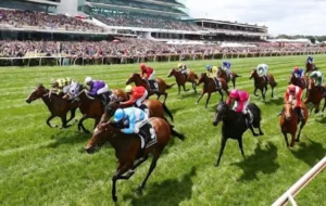 Kinh Nghiệm Tìm Hiểu Cá Cược Đua Ngựa V6Bet Chinh Phục Đường Đua