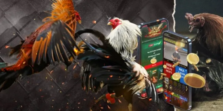 Bí Kíp Và Cách Chơi Đá Gà GA28 Tại V6Bet Từ Cao Thủ 2 Bí Kíp Và Cách Chơi Đá Gà GA28 Tại V6Bet Từ Cao Thủ