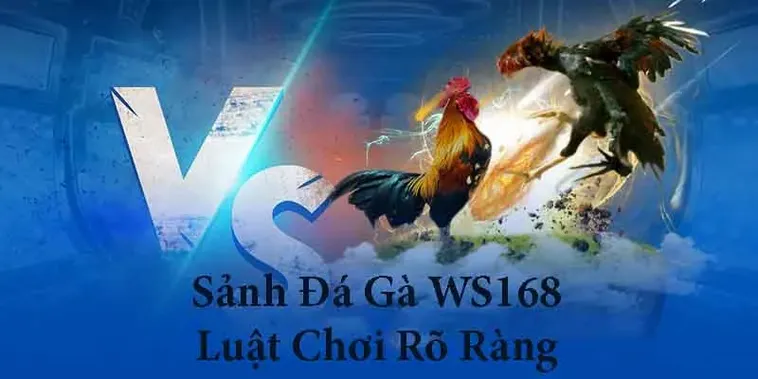 Chi Tiết Cách Chơi Đá Gà WS168 Tại V6Bet Thắng Lớn Mỗi Ngày 2 Chi Tiết Cách Chơi Đá Gà WS168 Tại V6Bet Thắng Lớn Mỗi Ngày