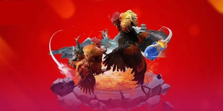 Đá Gà V6Bet Sân Chơi Kịch Tính Với Tỷ Lệ Thưởng Cực Hấp Dẫn 1 Đá Gà V6Bet Sân Chơi Kịch Tính Với Tỷ Lệ Thưởng Cực Hấp Dẫn