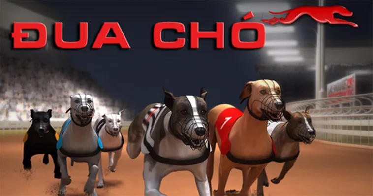 Hướng Dẫn Cách Chơi Game Nhanh Đua Chó Tại V6Bet Chuẩn Xác 2 Hướng Dẫn Cách Chơi Game Nhanh Đua Chó Tại V6Bet Chuẩn Xác