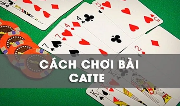 Bí Kíp Cách Chơi Sắc Tê Nhà Cái V6Bet Cực Hay